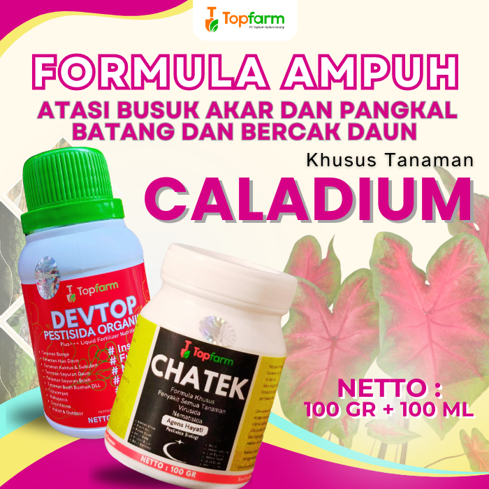 Pestisida Topfarm / Obat Hama Untuk Tanaman Bunga / Obat Hama Untuk Bunga Hias Keladi / Obat Hama Ul