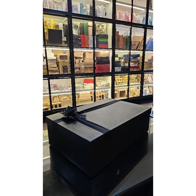 

1pc HARDBOX 50x32xT15Cm