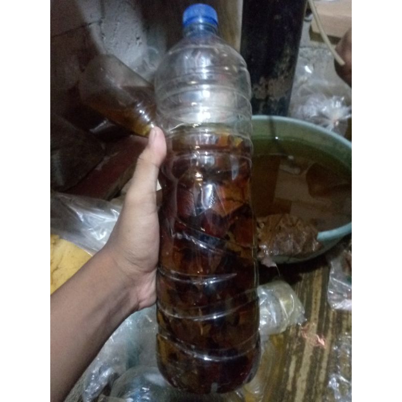 

Ketapang per gram