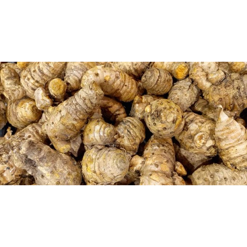 

Temulawak fresh Temulawak Segar Temulawak Fresh SUPER Murah Alami Tua [COD]