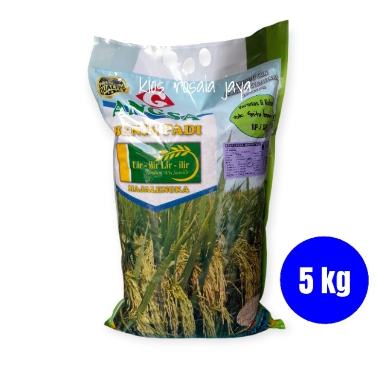 Benih Padi Unggul BK SITUBONDO 01 Agritan SUPER GENJAH