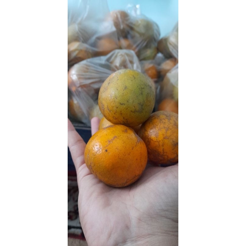 

Jeruk Siem manis dan segar