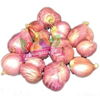 

Bawang Merah Batu 100 rgam