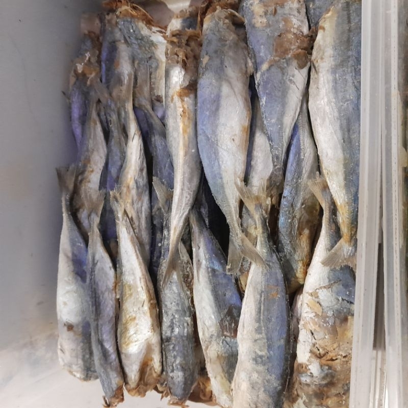 

Ikan Asin Peda Tanpa Kepala Kemasan 500 Gram