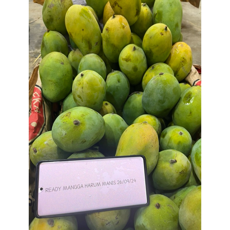 

Mangga Harum Manis