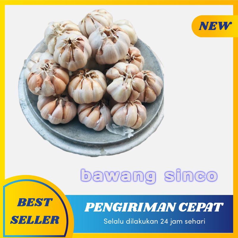 

bawang sinco 1kg berkualitas