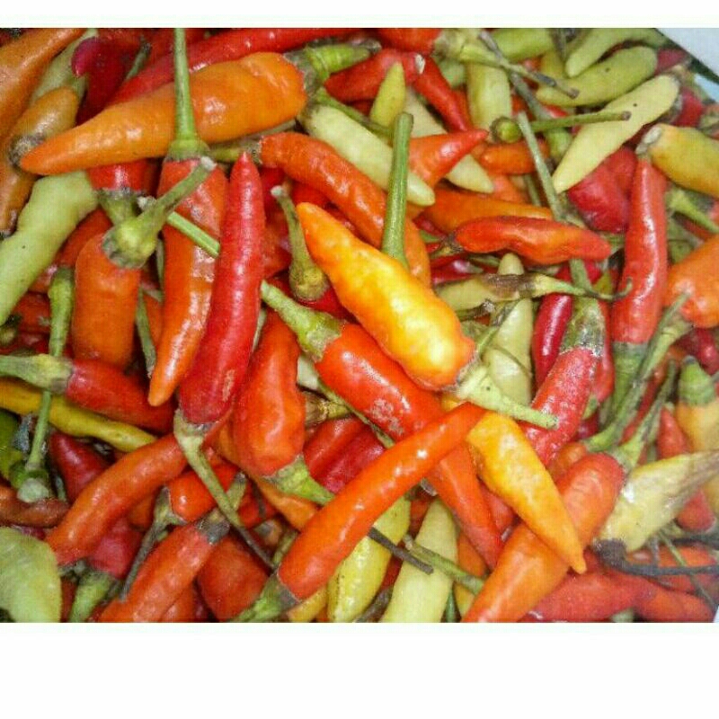 

CABAI RAWIT MERAH FRESH TERMURAHHH
