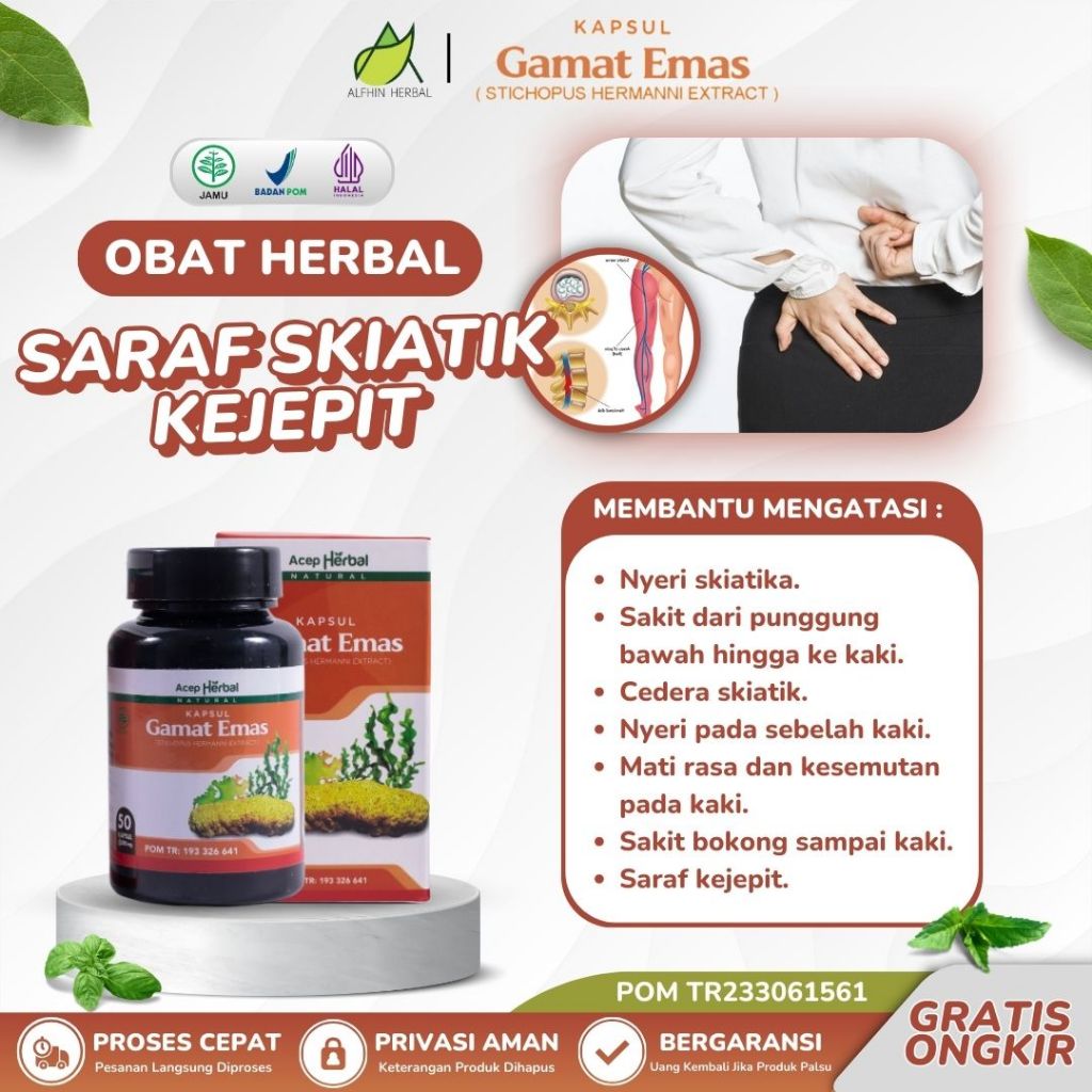 Obat Saraf Skiatik Kejepit Sciatica Sakit Paha Linu Panggul Kapsul Gamat Emas