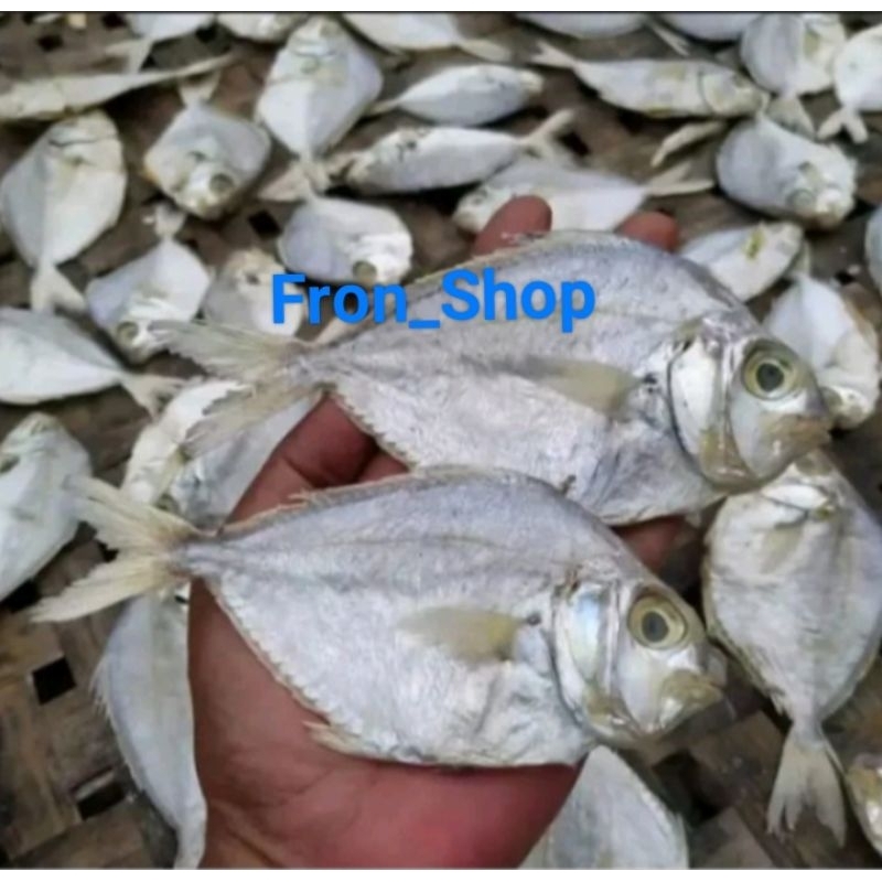 

Promo ikan asin petek kering dan gurih (1kg)