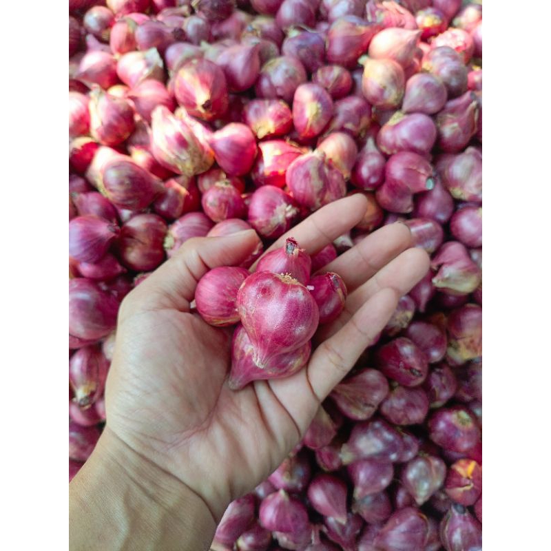 

Bawang Merah 250 Gram