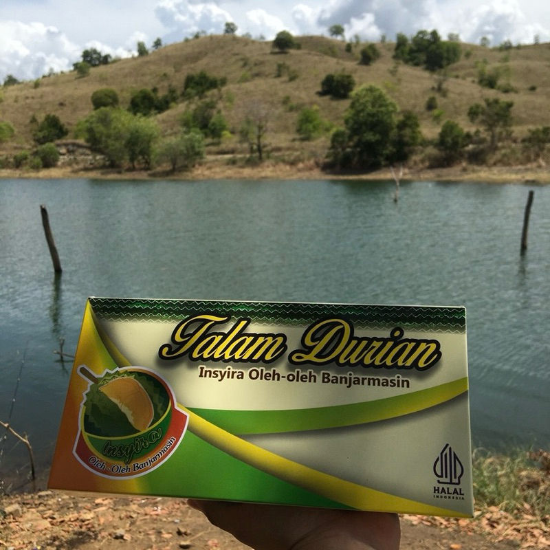 

TALAM DURIAN INSYIRA