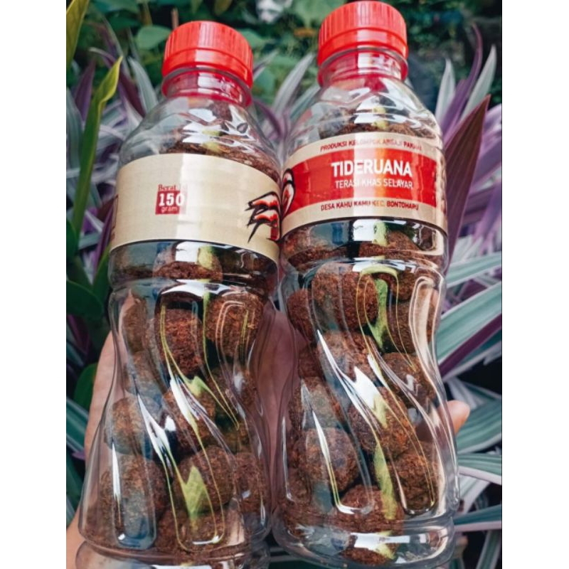 

Terasi udang selayar