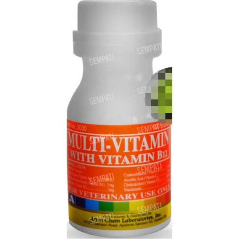 Multivitamin With Vitamin B12 Ayam Adu ECER 50-Tablets