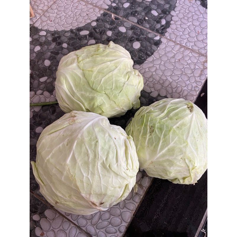 

sayur gubis bersihan perkilo