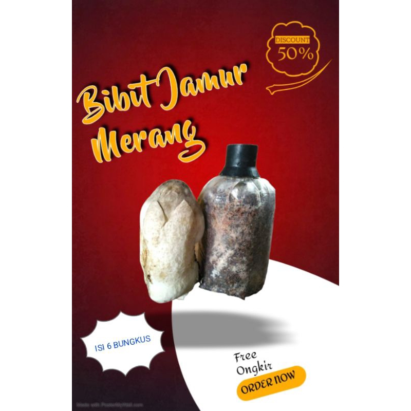 BENIH (BIBIT) JAMUR MERANG UNTUK PEMULA ISI 6 BUNGKUS
