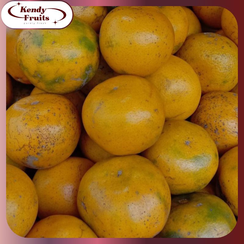 

JERUK Medan Super 1 kg | Buah Segar Sehat Fresh