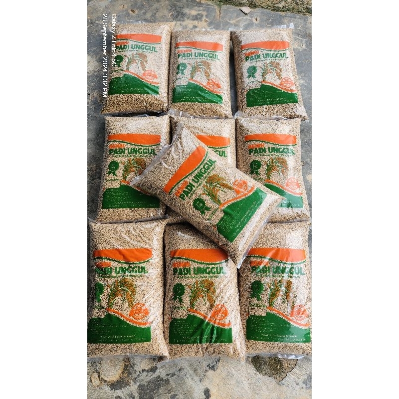 Benih Padi Unggul MR 219 SUPER