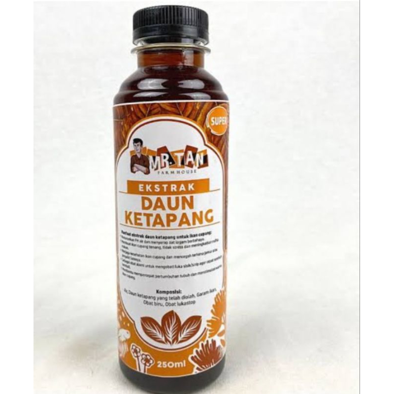 ikan chana limbata pair