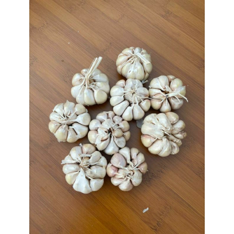 

bawangputihsuper