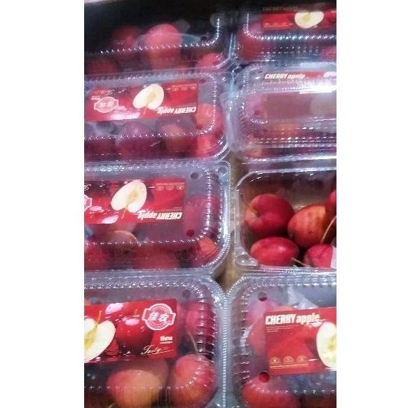 

Buah Apel Candy per pack >> malakeya