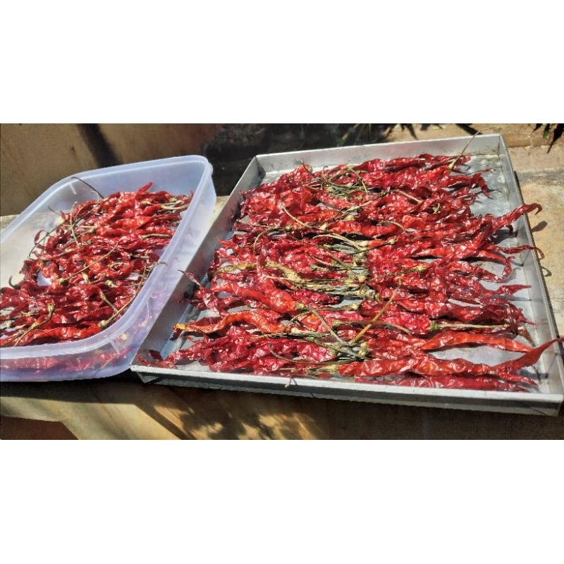 

cabai keriting kering 100gr