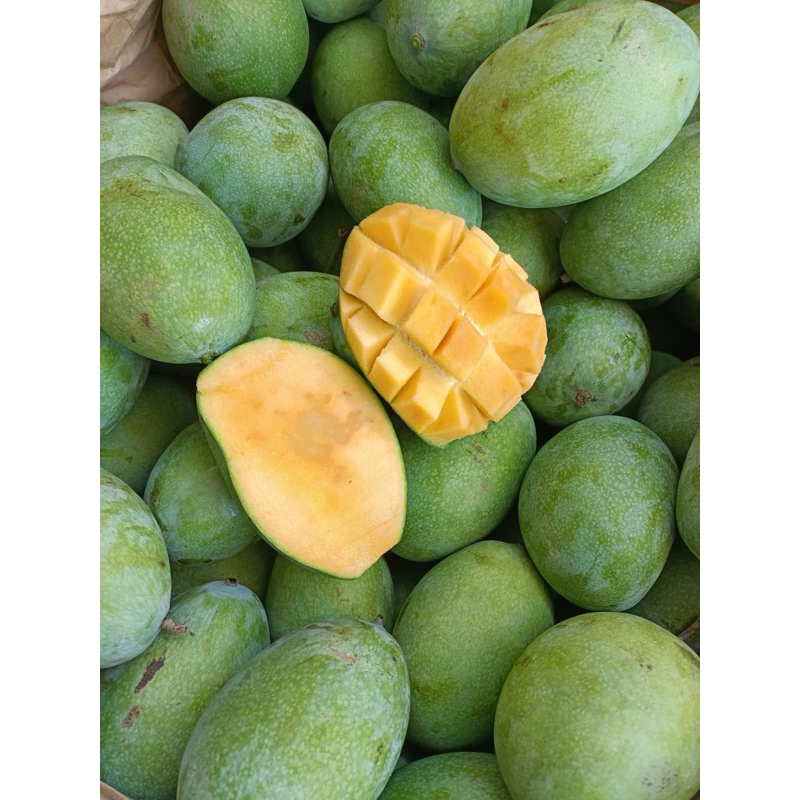 

Mangga Manalagi Berat 1 Kg