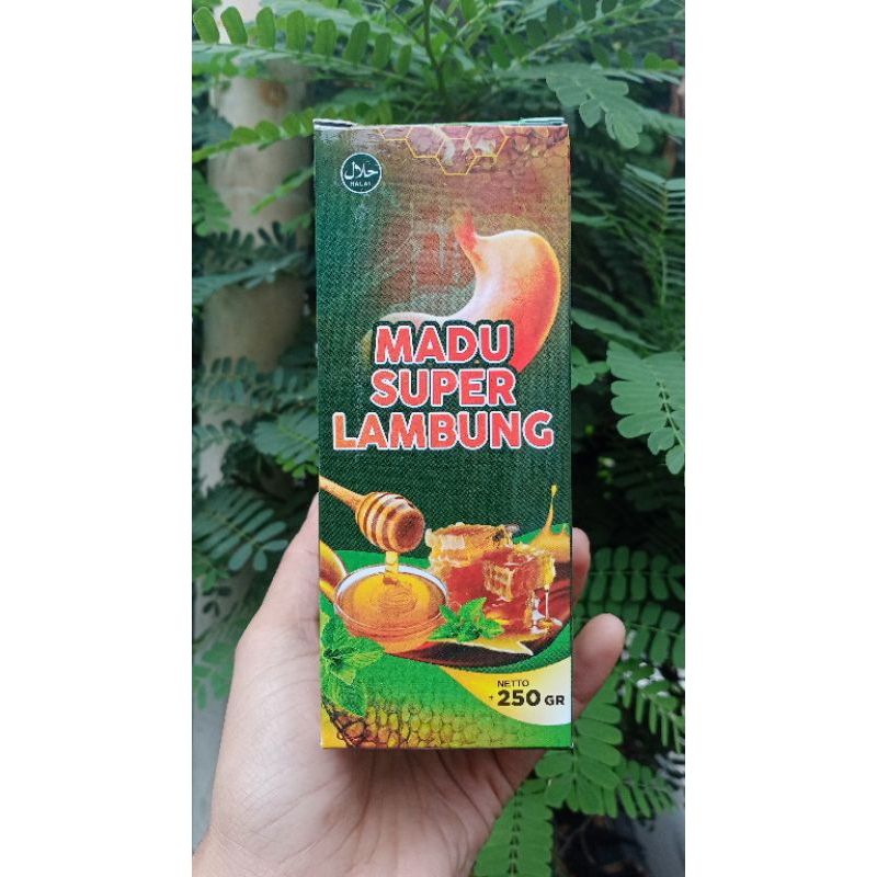

madu lambung