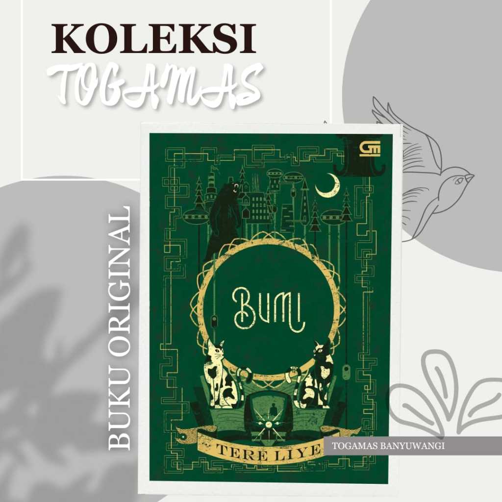 Novel Bumi - Tere Liye