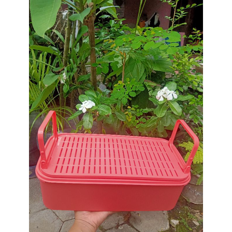 Modular Crisper Tupperware