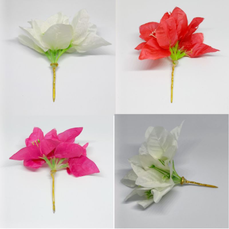 Bunga semanggi kembang kertas, bunga parigata