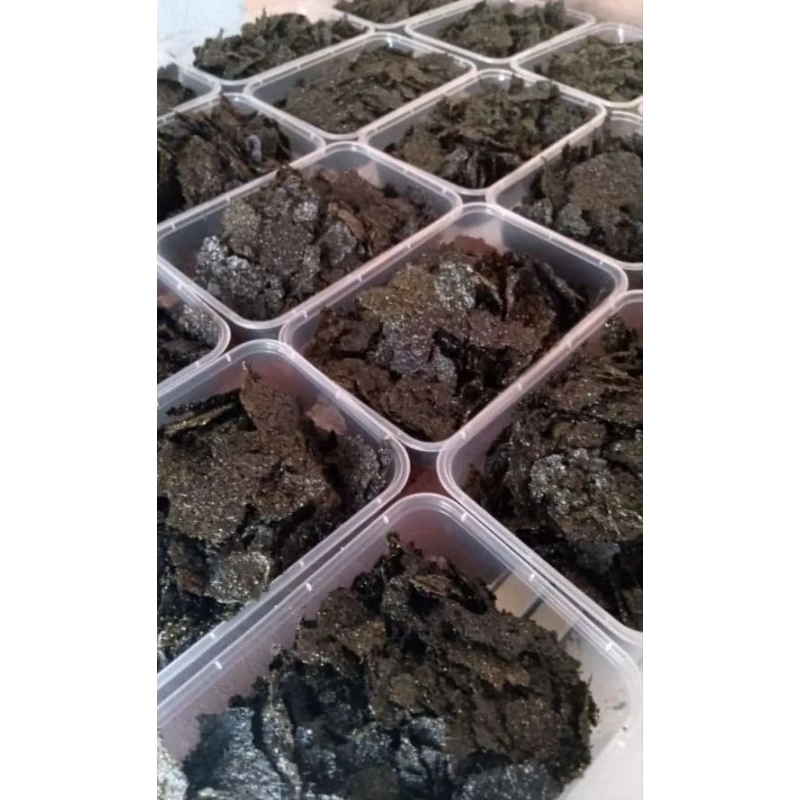 

nori rumput laut