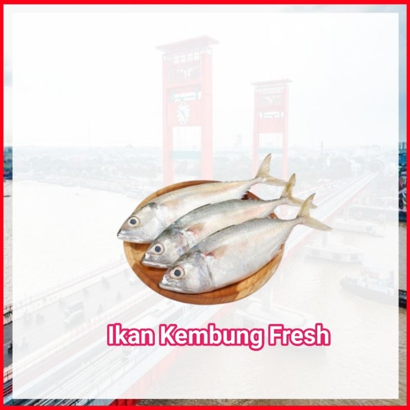 

Ikan Kembung Fresh - Sayur Ampera Palembang