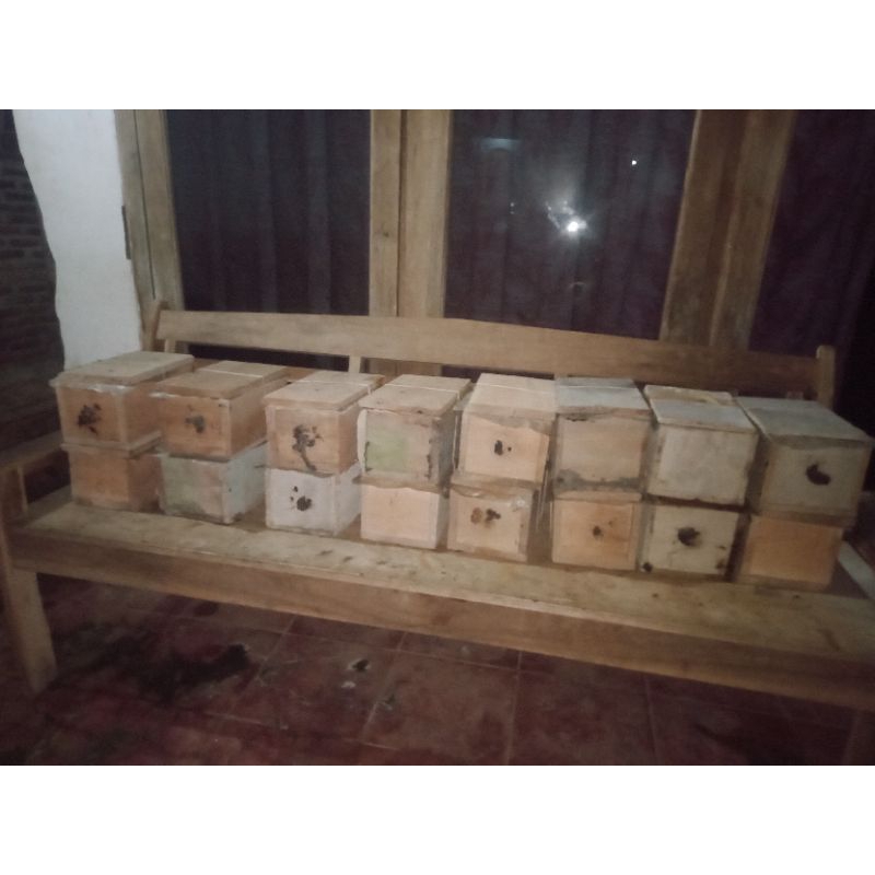 

madu, klanceng dalam kotak sederhana (Superan)