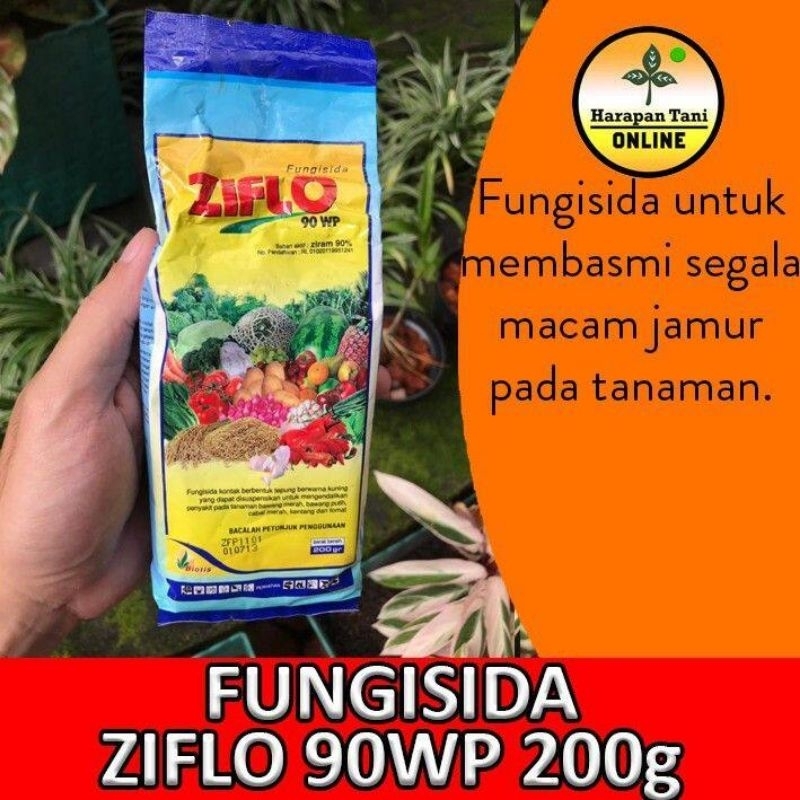 Fungisida Ziflo 76WG 200 Gram Ziram

