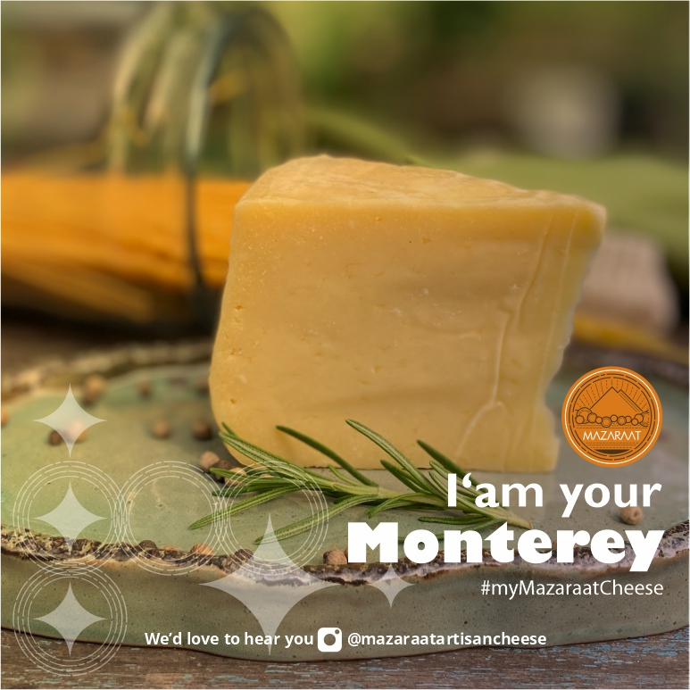 

Keju Monterey Jack Mazaraat