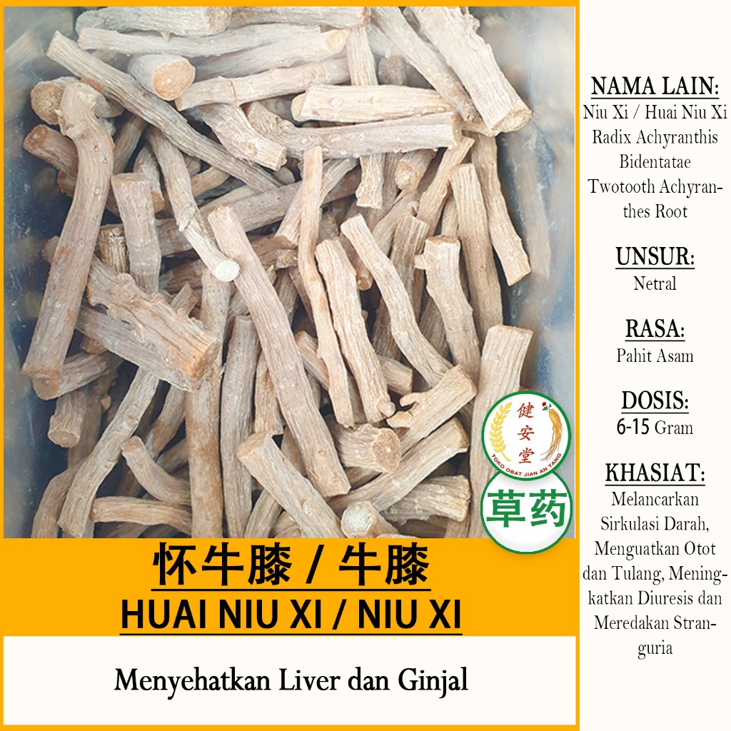 

HUAI NIU XI - NIU XI [Radix Achyranthis Bidentatae 怀牛膝 / 牛膝 / 懷牛膝] Herbal TCM Per 100 Gram