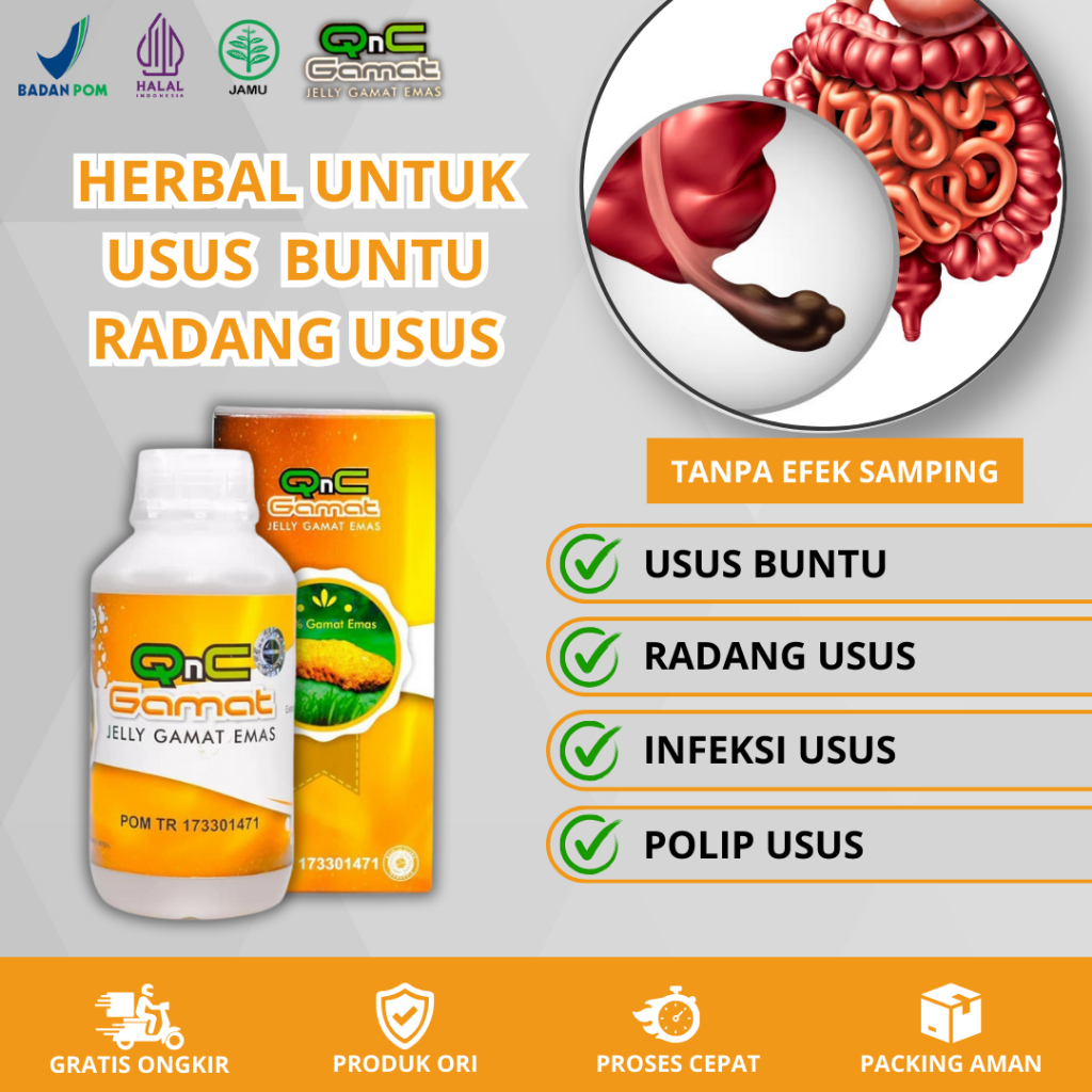 Obat Usus Buntu, Obat Usus Buntu Herbal, Obat Herbal Usus Buntu Dengan QMC Jelly Gamat