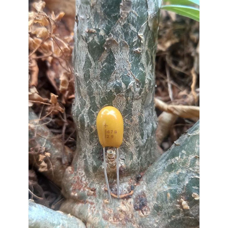 kapasitor nonpolar bipolar 47uf  35v tantalum