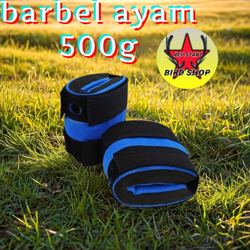 BARBEL AYAM JAGO PAKET BEGEL AYAM 200,300,400 & 500 GR BANGKOK SATU PASANG PEMBERAT KAKI AYAM ADUAN 