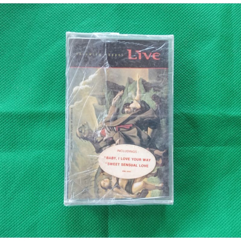 KASET PITA LIVE