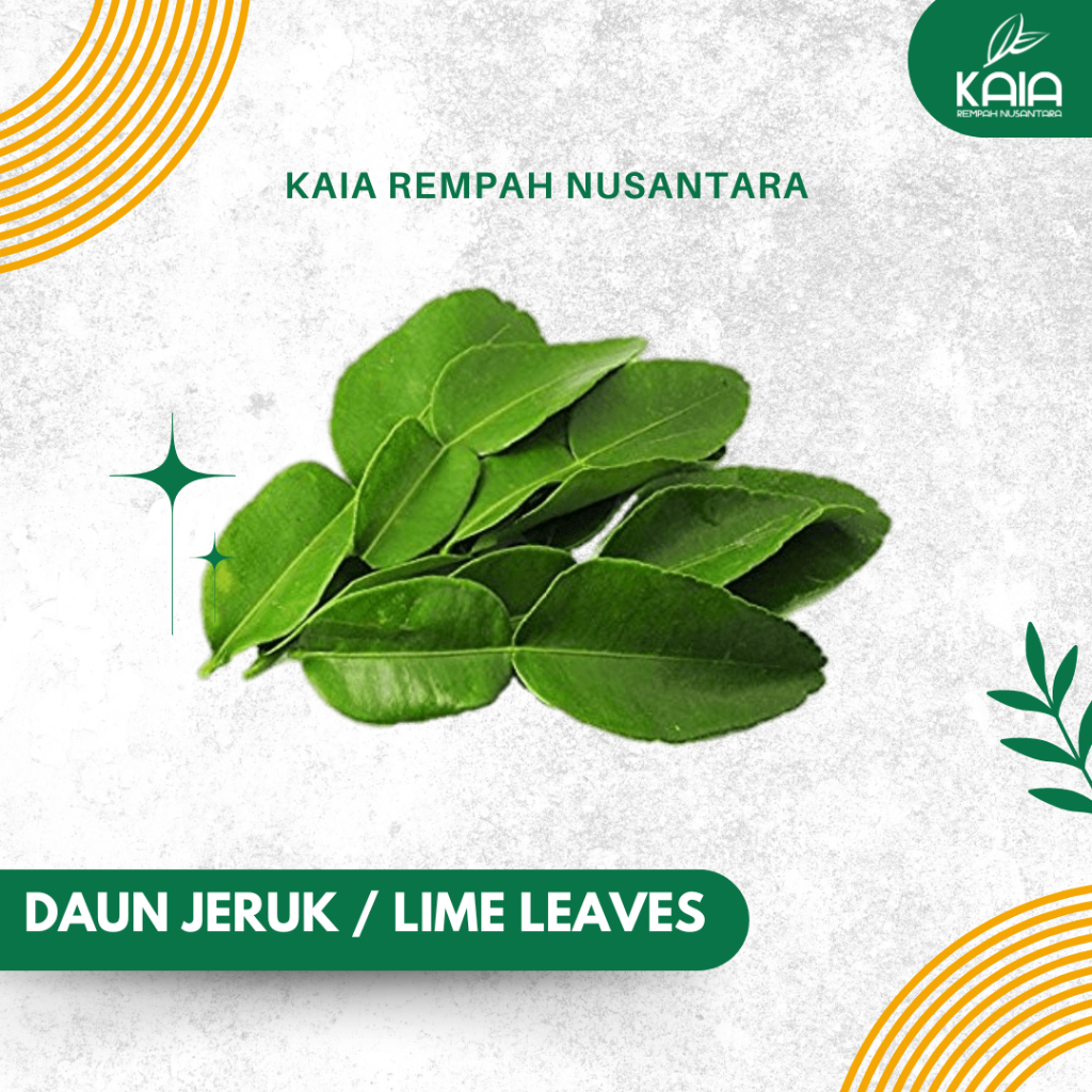 

KAIA Daun Jeruk - Rempah bumbu dapur segar premium