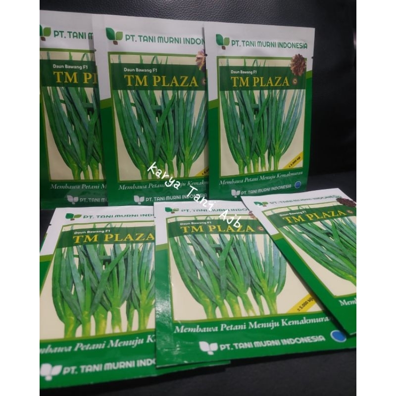 Bibit Benih Daun bawang TM PLAZA F1 5000 bj (Exp Des 2025)