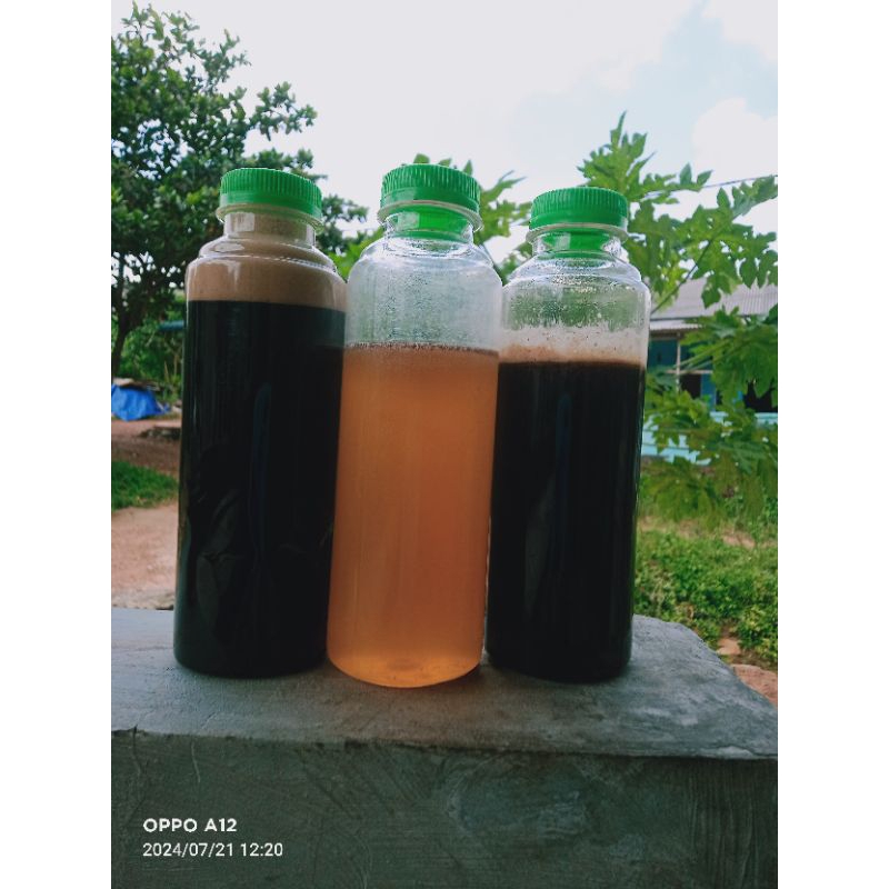 

Madu Kelulut TPI