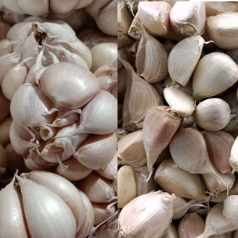 

PAKET Bawang Putih dan Bawang Kating 1kg