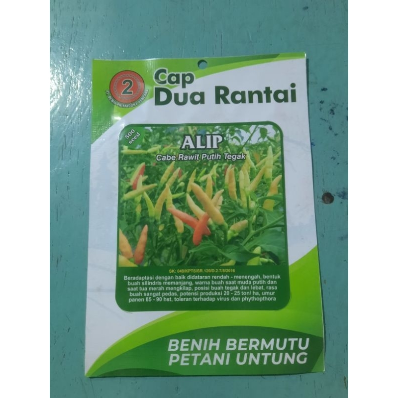 Benih Cabe Rawit Putih Tegak Alip