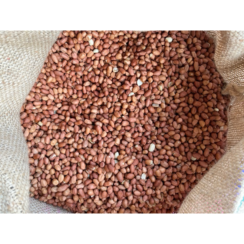 

KACANG TANAH IMPORT INDIA BERSIH 500g