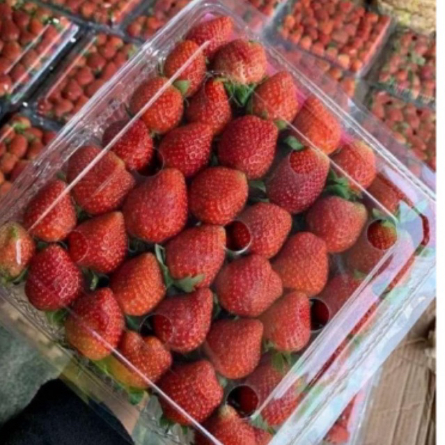 

Strobery Fresh 1kg,Buah strawberry Segar