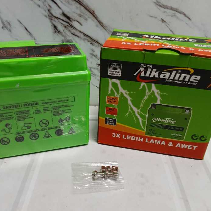 AKI MOTOR Vario 150 /125 GTZ-7S MF ALKALINE ACCU KERING l AKI