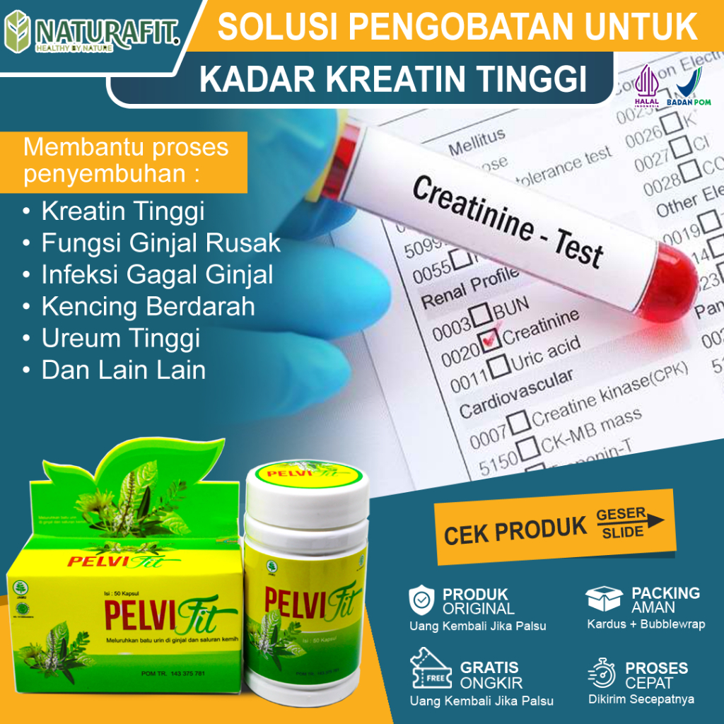 Obat Kreatinin Tinggi, Obat Penurun Kreatin Paling Ampuh, Gangguan Ginjal, Kadar  Ureum Tinggi, Obat