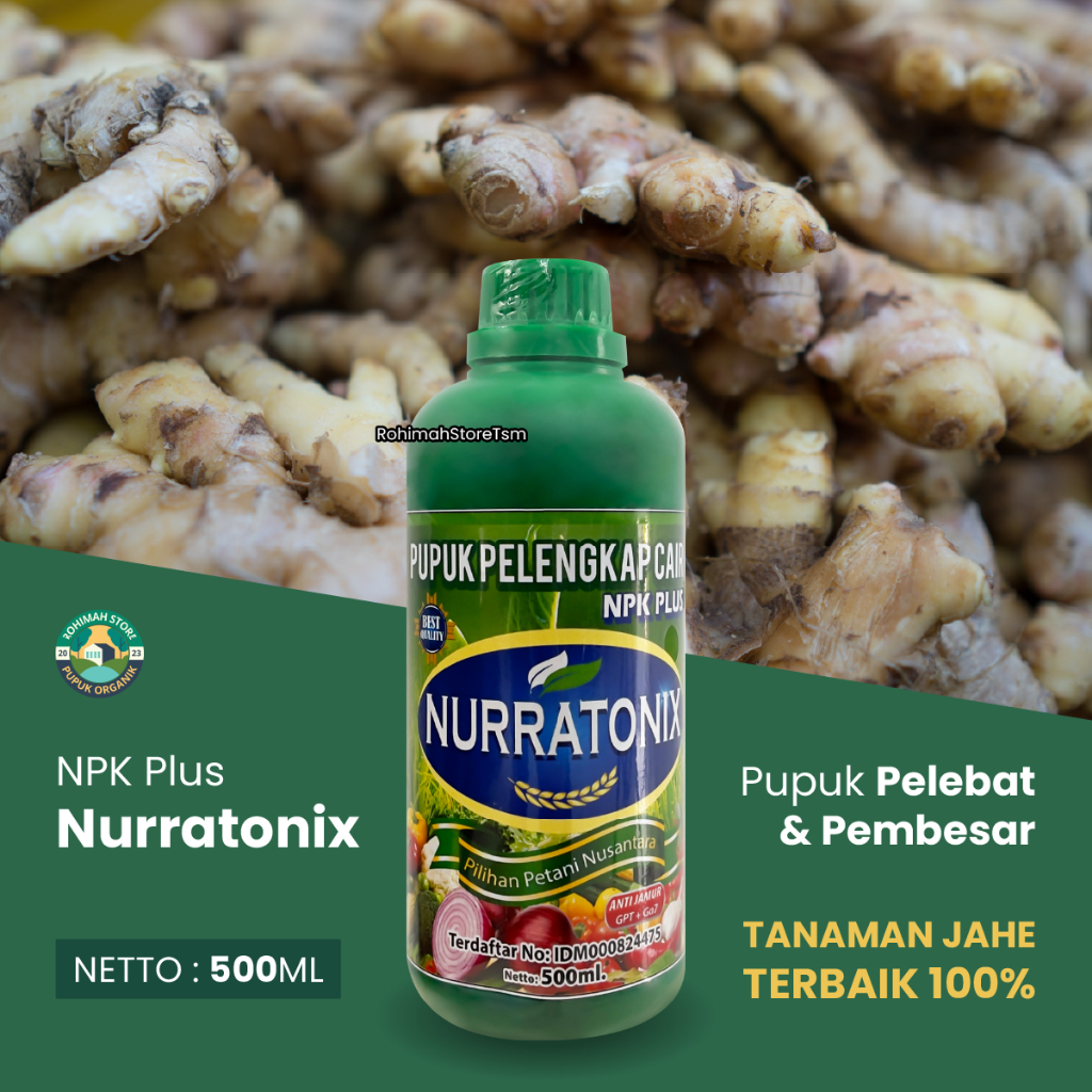 pupuk jahe merah NPK NURRATONIX pupuk penyubur dan pelebat buah tanaman jahe - pupuk pembesar tanama